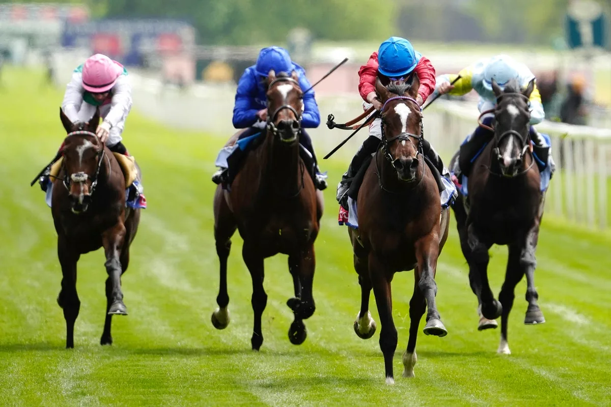 Newcastle: Richard Hughes discusses Northumberland Plate favourite Circus Of Rome