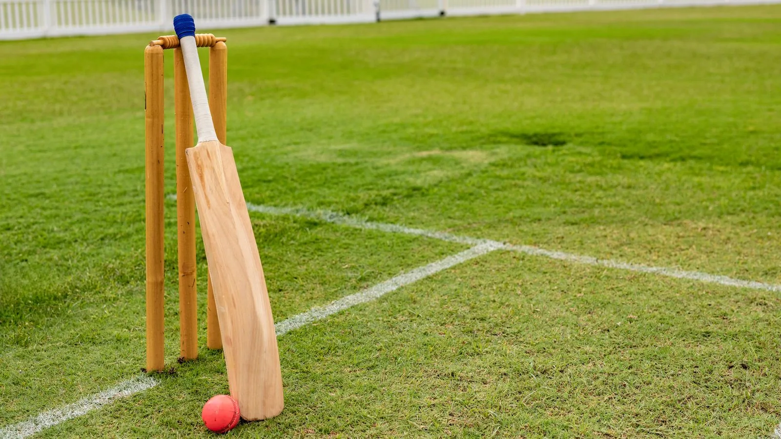 North Yorkshire cricket team under investigation following alleged cheating